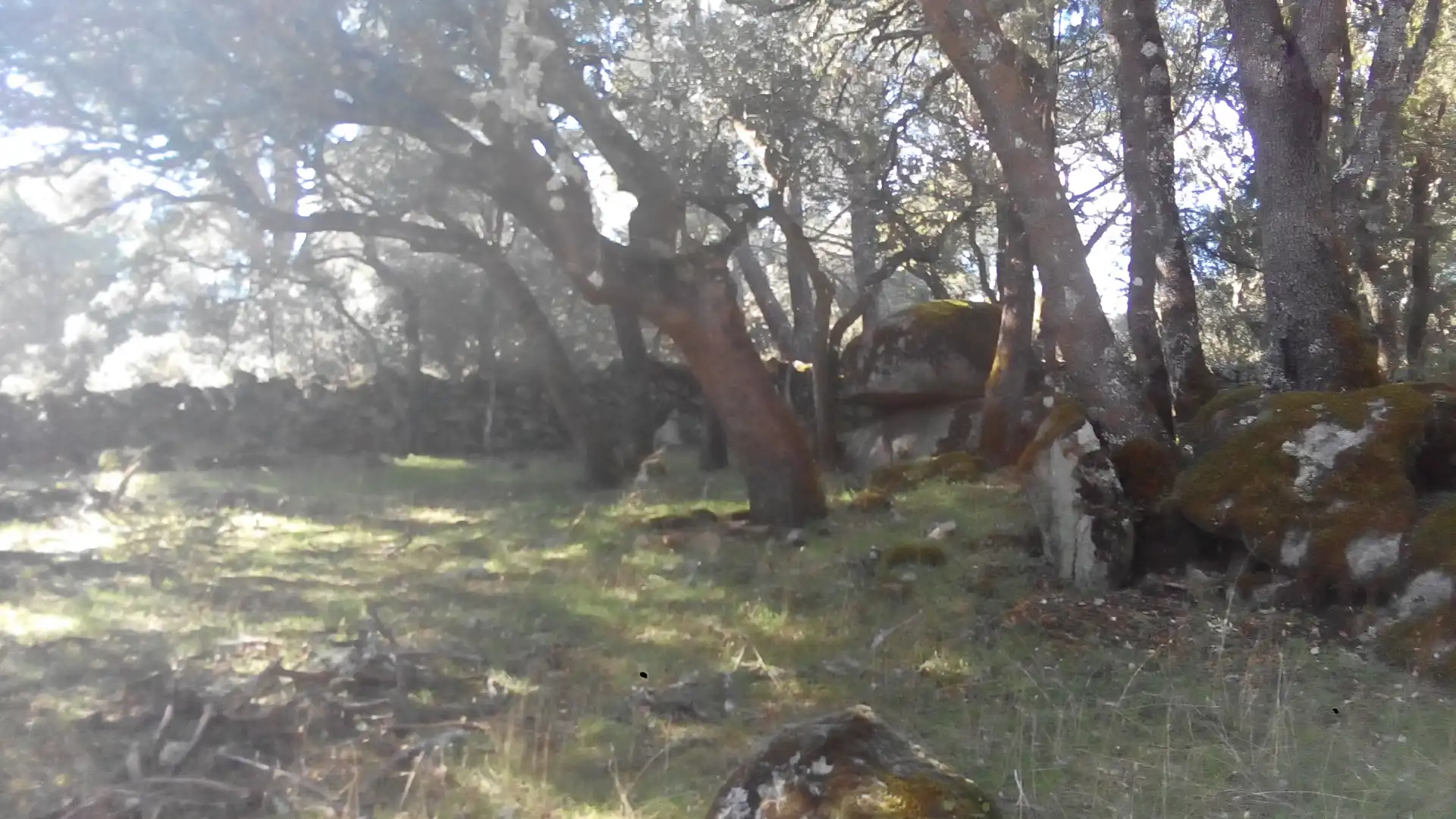 Terreni e lotti in vendita a Fresnedilla, imagen 4