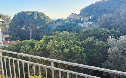 Vista exterior de Casa o xalet en venda en Sant Cebrià de Vallalta amb Calefacció, Jardí privat i Terrassa