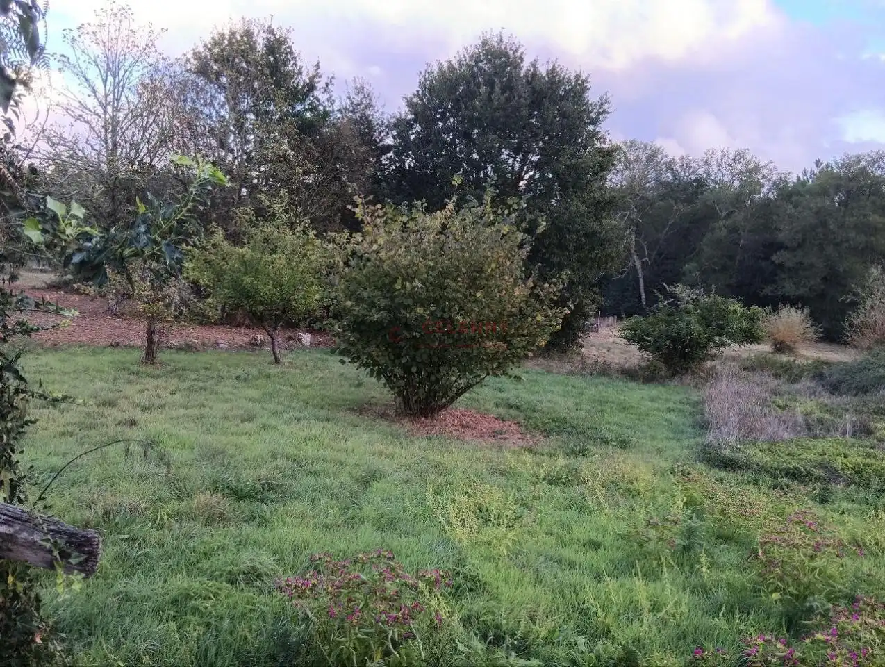 Rustikales Grundstück zum Verkauf in Amoeiro, imagen 8