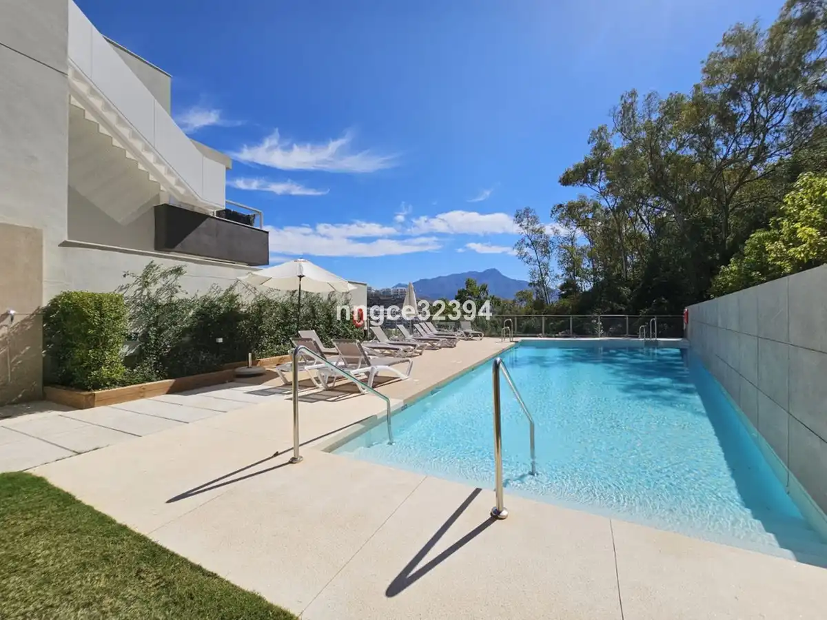 Penthouse with pool for sale in Calle la Pacheca Alta 22, imagen 14