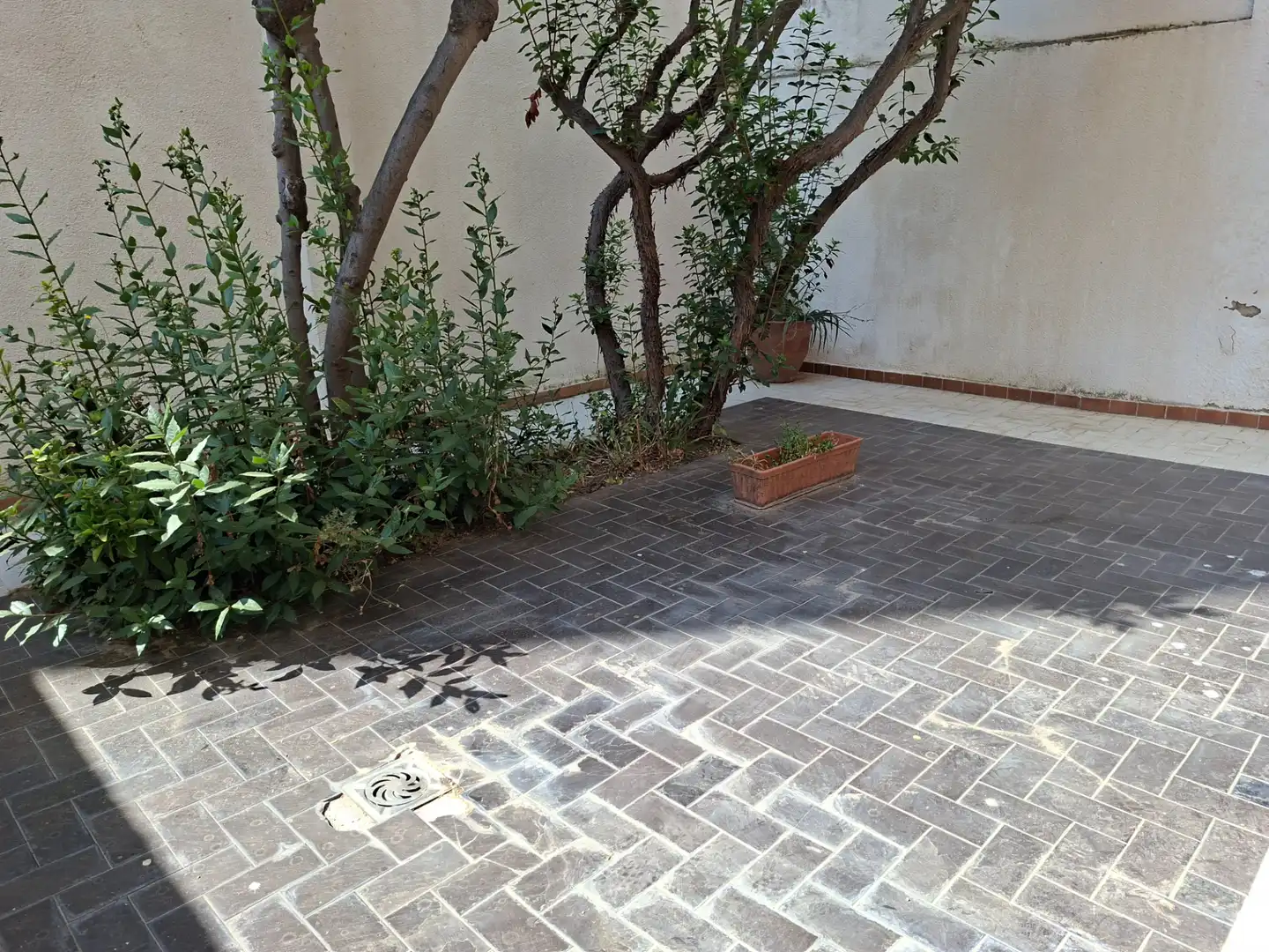 Local comercial de lloguer a Carrer de Jovara 18, imagen 14