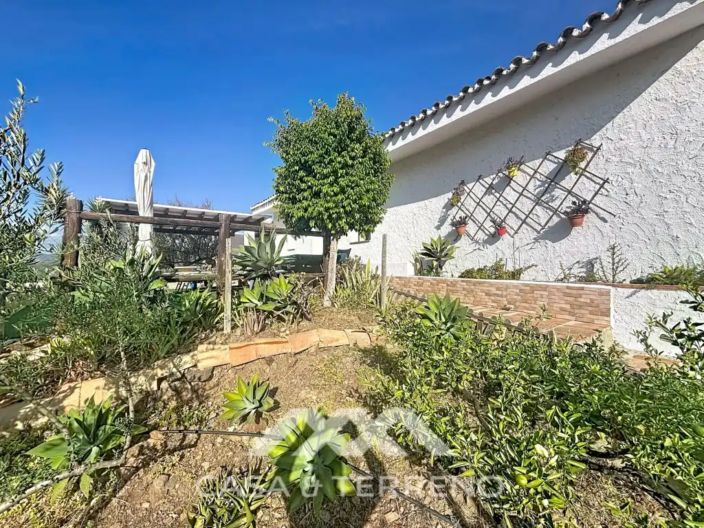 Jardín de Casa o chalet en venta en Vélez-Málaga ciudad