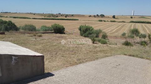 Terrenos en venta en Sanlúcar la mayor