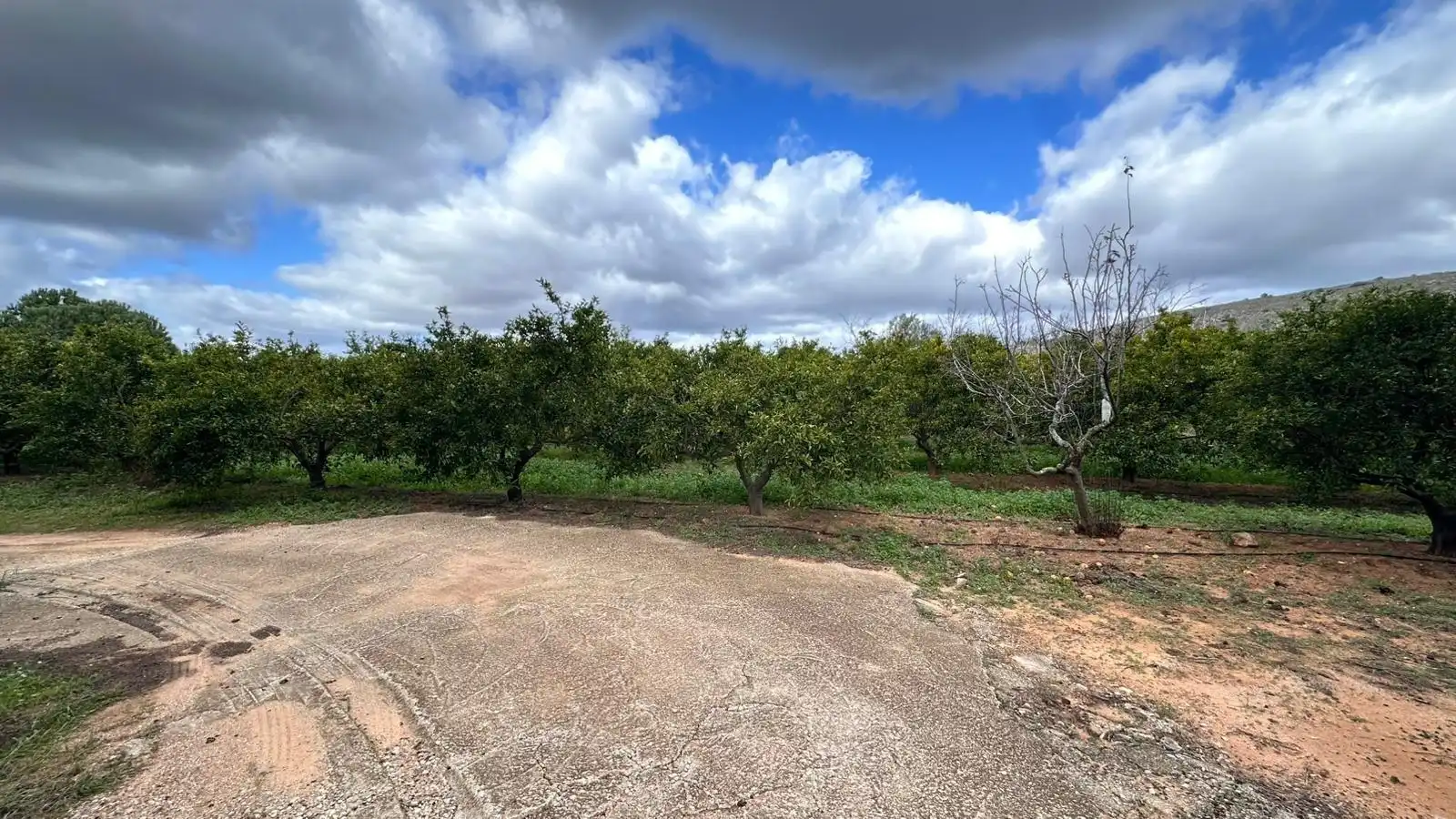 Casa o chalet en venta en Polígono POLIGONO N 7, Alfarb