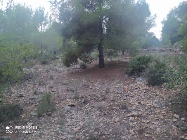 Terreno en Venta en El Castell