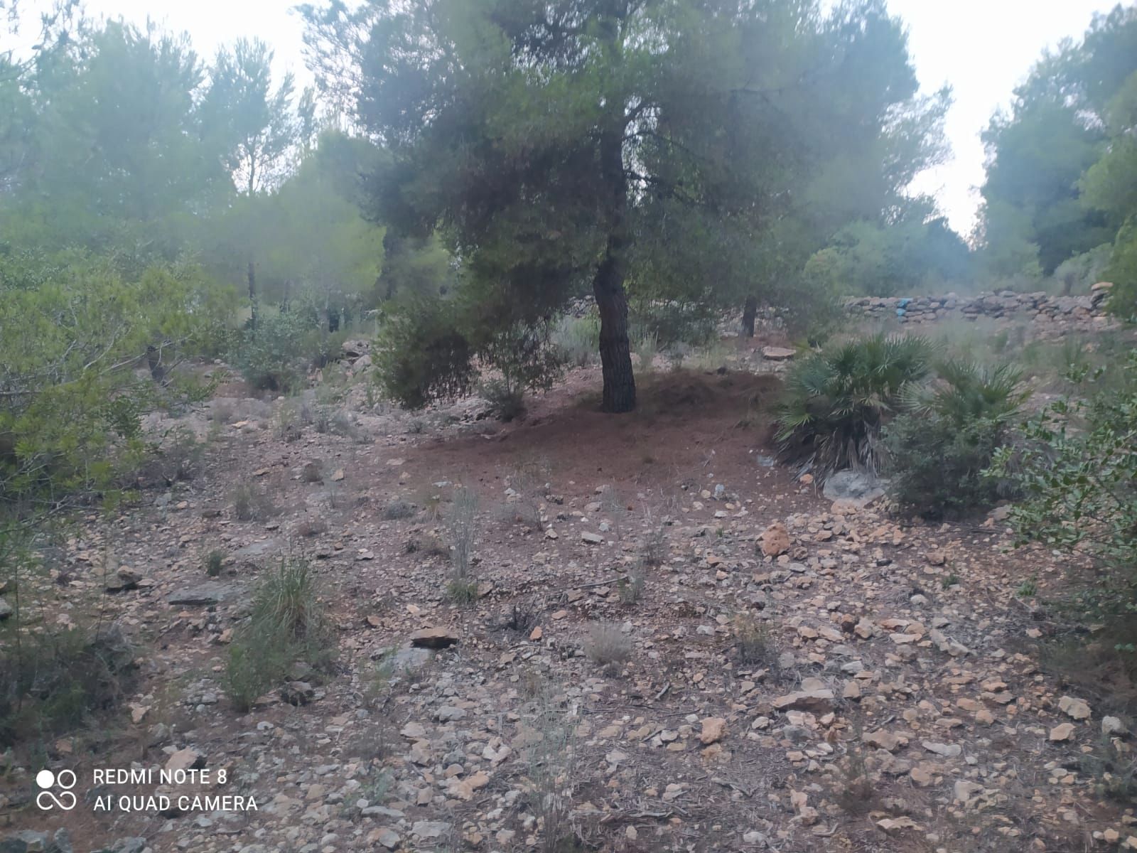 Land for sale in Burjassot