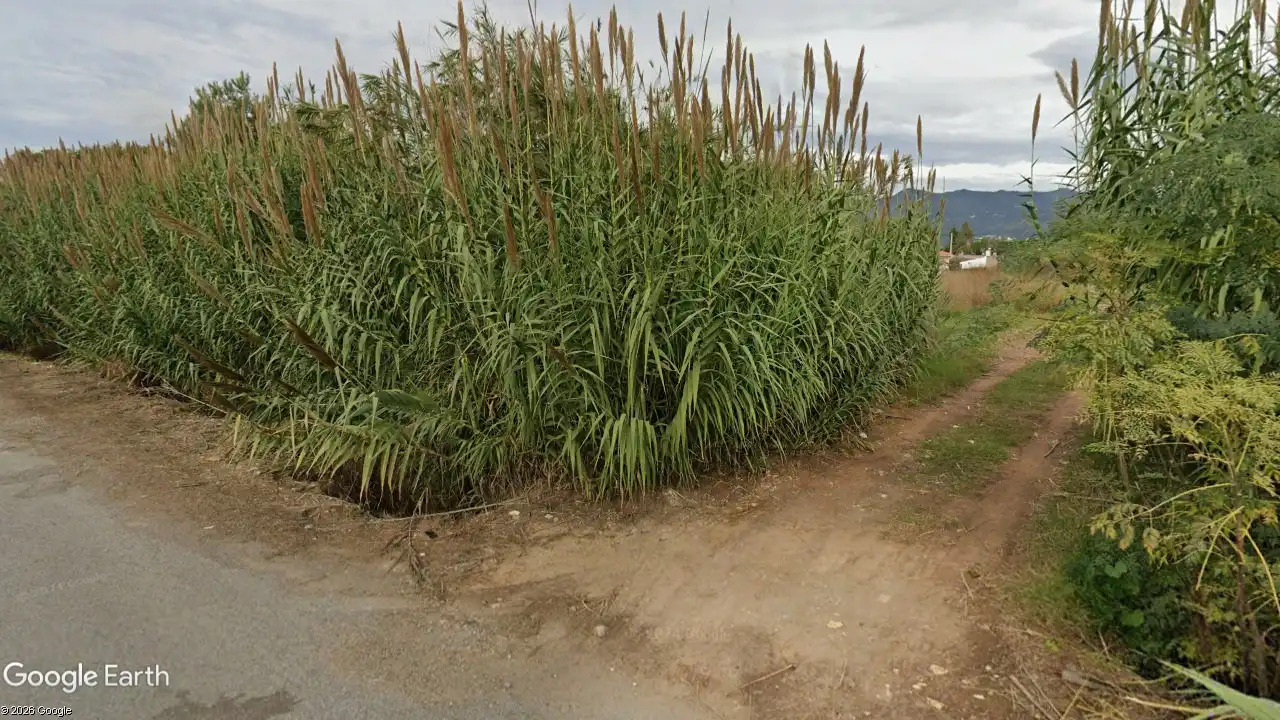 Terreno rustico in vendita a El Grao, imagen 4