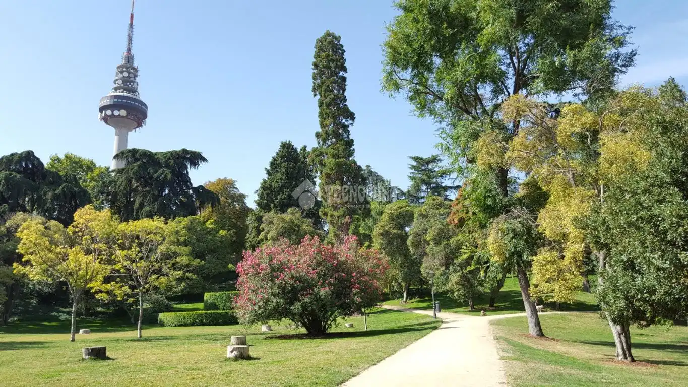 Garten von Wohnung zur Miete in Madrid