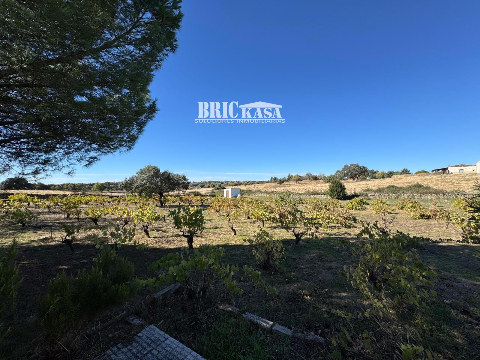 House or chalet for sale in Arroyo de la Luz  with Furnished