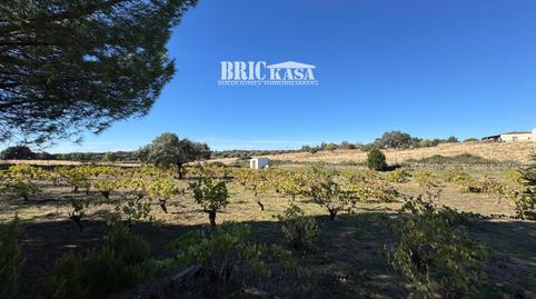 Foto 3 de Casa o xalet en venda a Valdeflores, Arroyo de la Luz, Cáceres