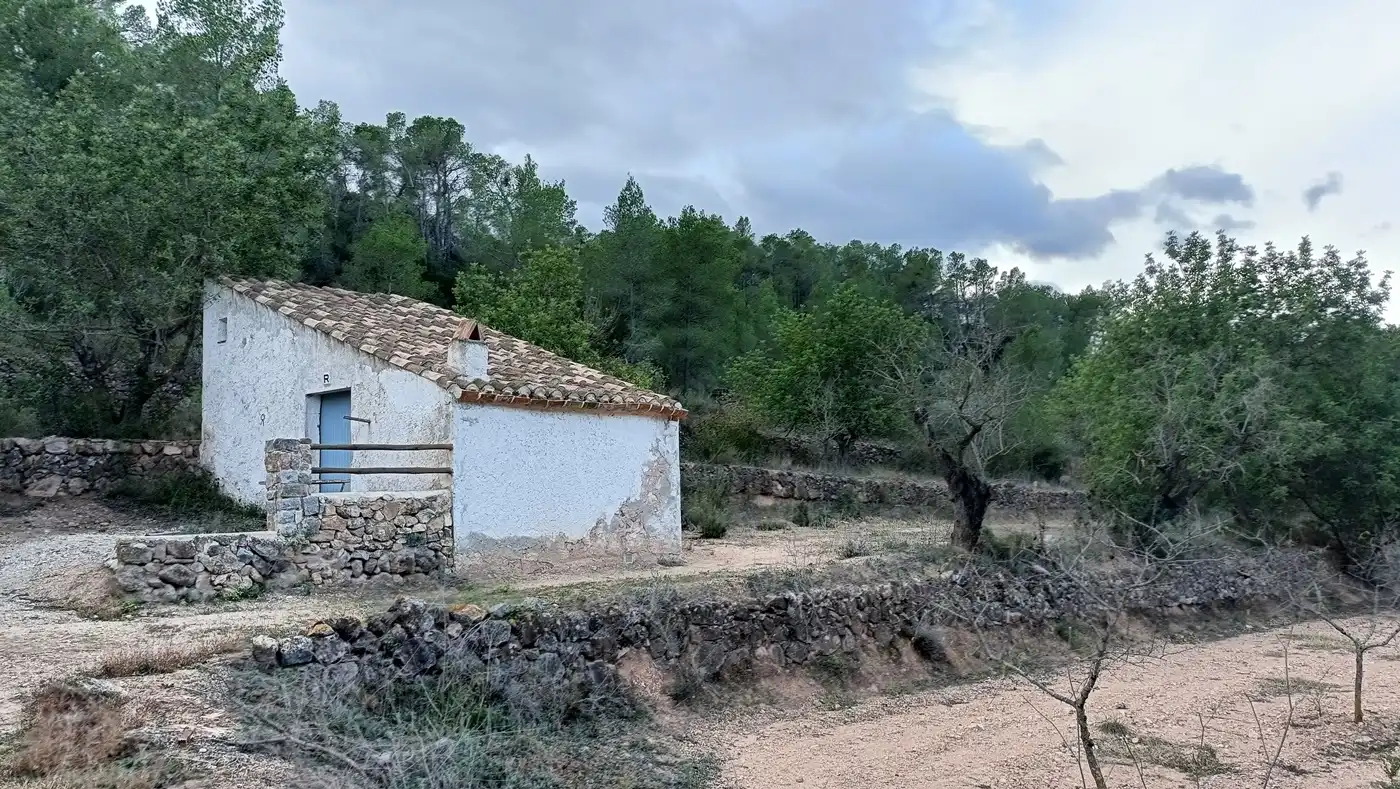 Terreny rústic en venda a Miravet, imagen 2