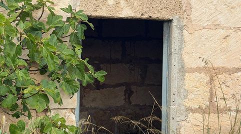 Immagine 2 dell'annuncio