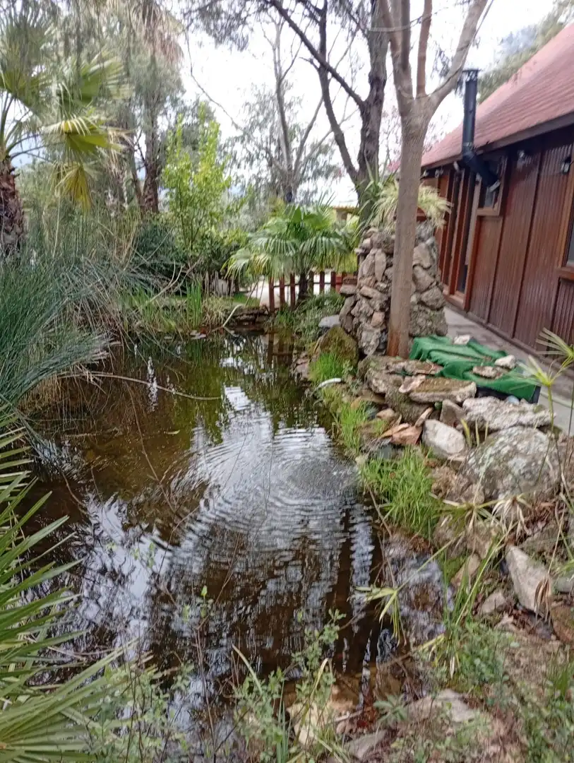 Maison avec piscine à vendre à El Tiemblo, imagen 37