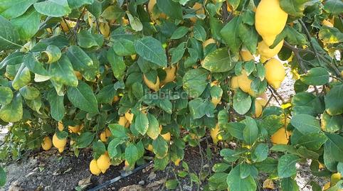 Photo 3 of Land for sale in N/a, -1, Paus - Poligono San Blas, Alicante