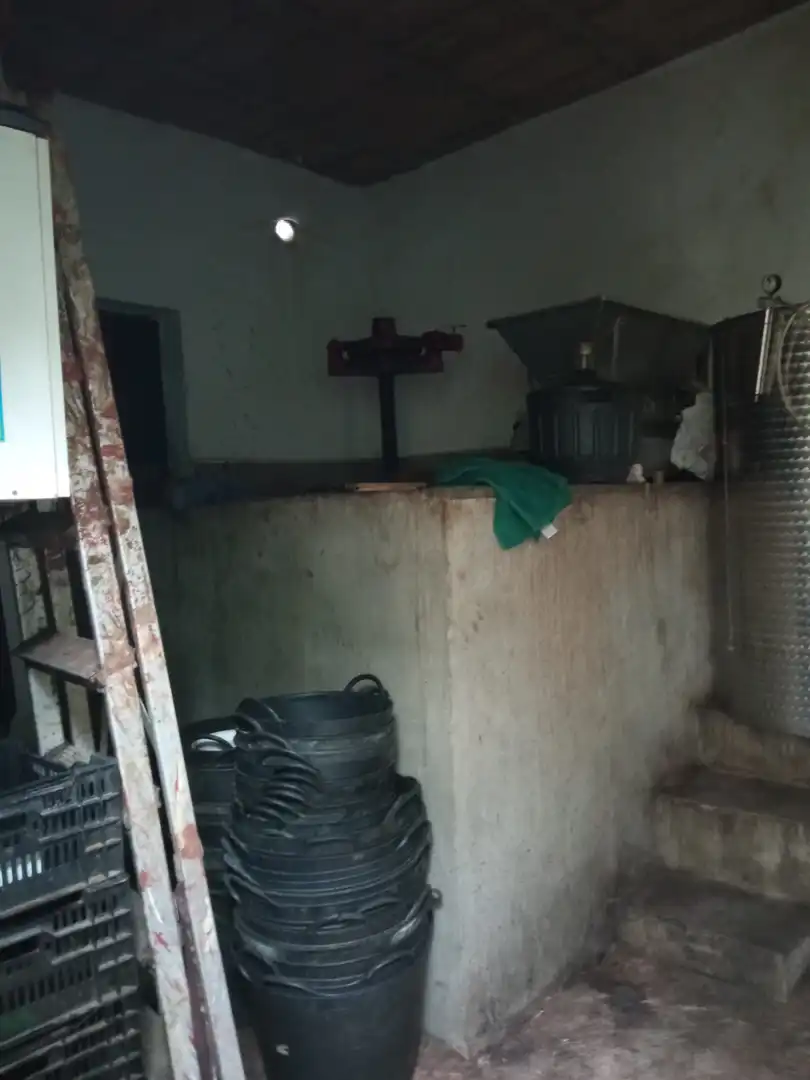 Terreno rustico in vendita a Las Cuevas - Los Gómez, imagen 6