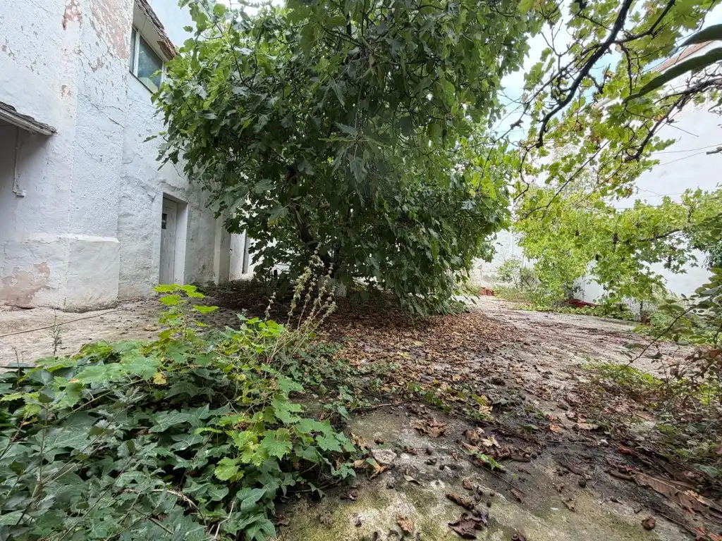 Casa rústica amb terrassa en venda a Altura, imagen 170