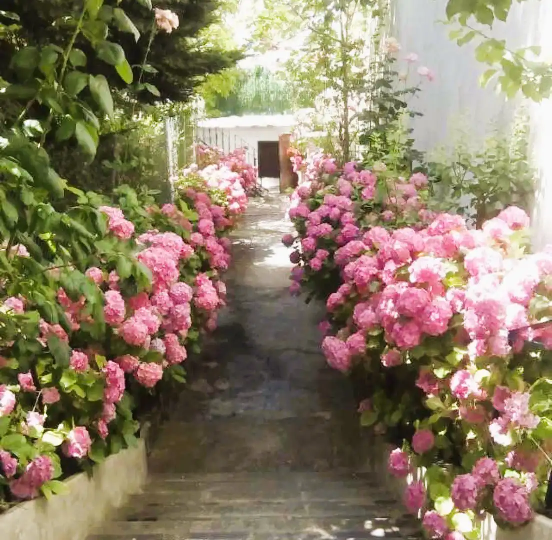 Jardín de Apartamento en venta en Capileira, Granada