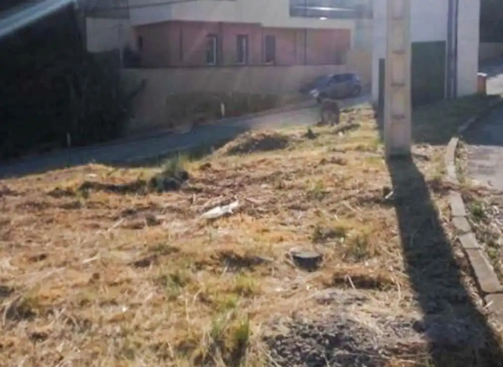 Terreno residenziale in vendita a El Bruc, imagen 17