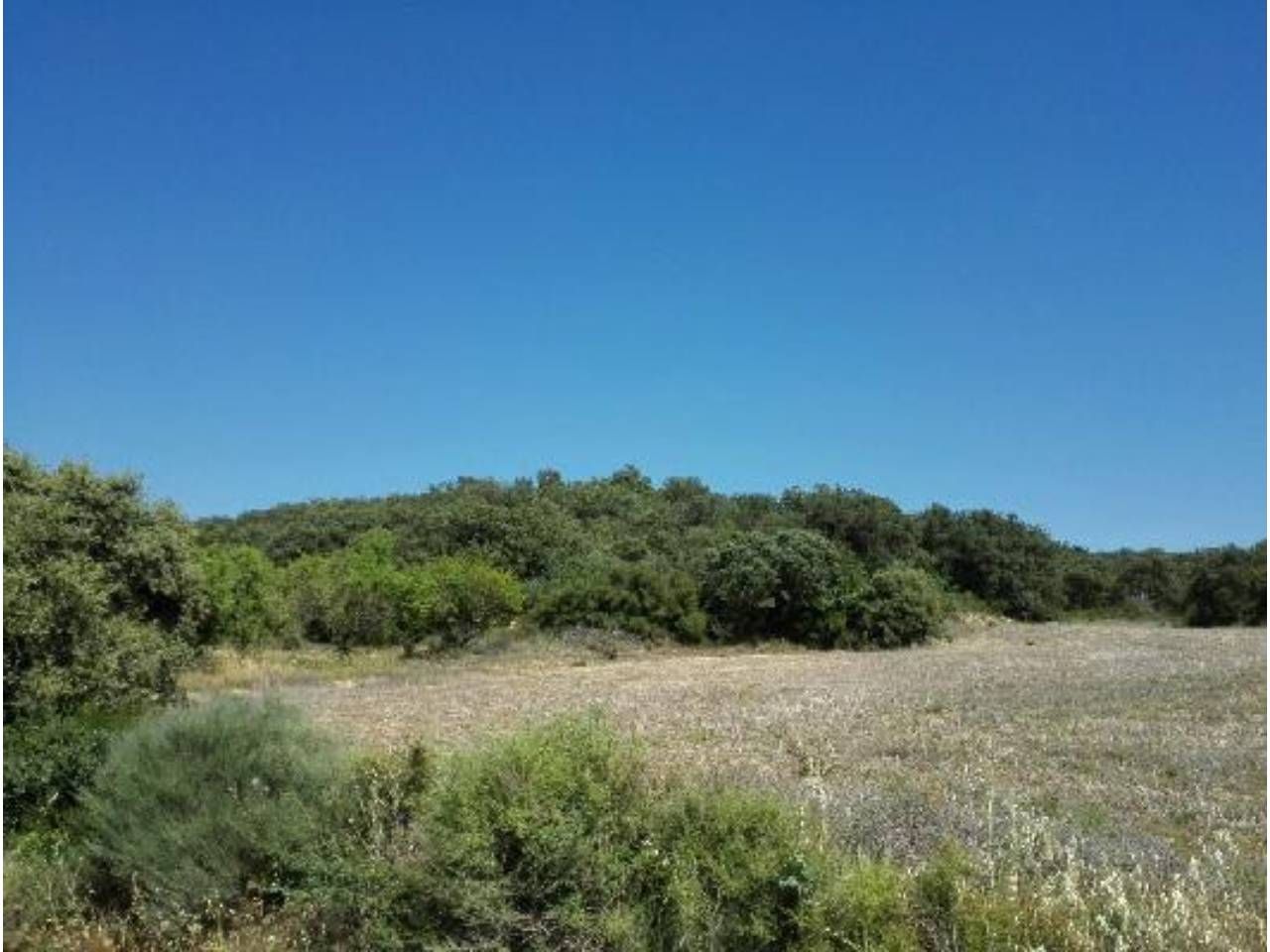 Grundstücke zum verkauf in Lascellas-Ponzano