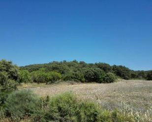 Land for sale in Lascellas-Ponzano