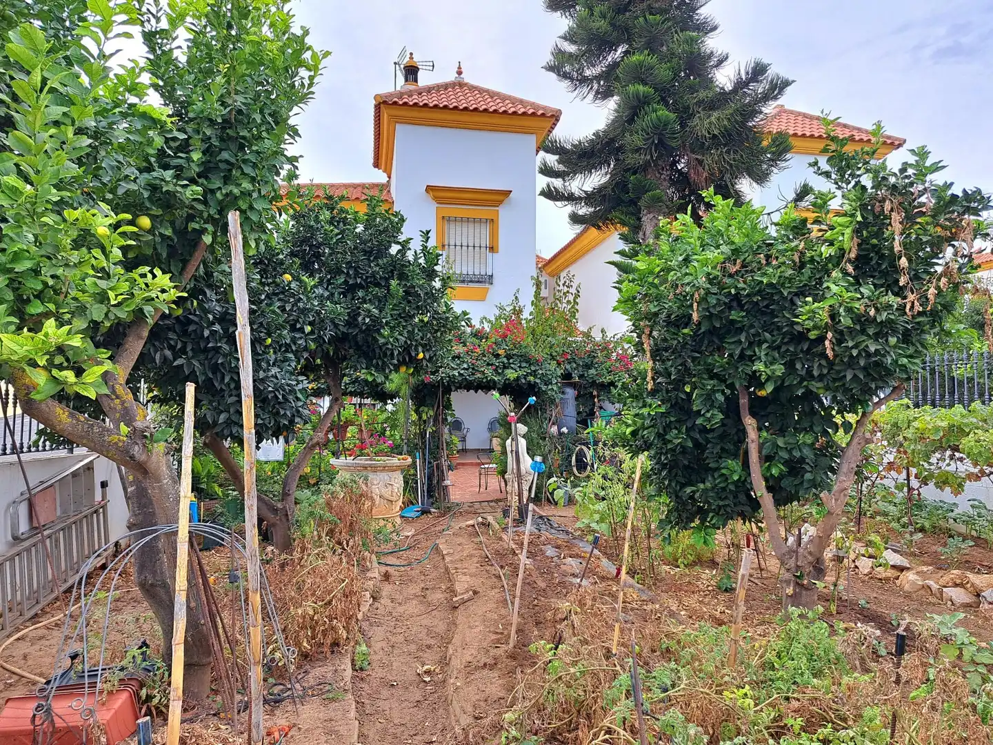 Einfamilien-Reihenhaus zum Verkauf in Calle 21400, Ayamonte ciudad