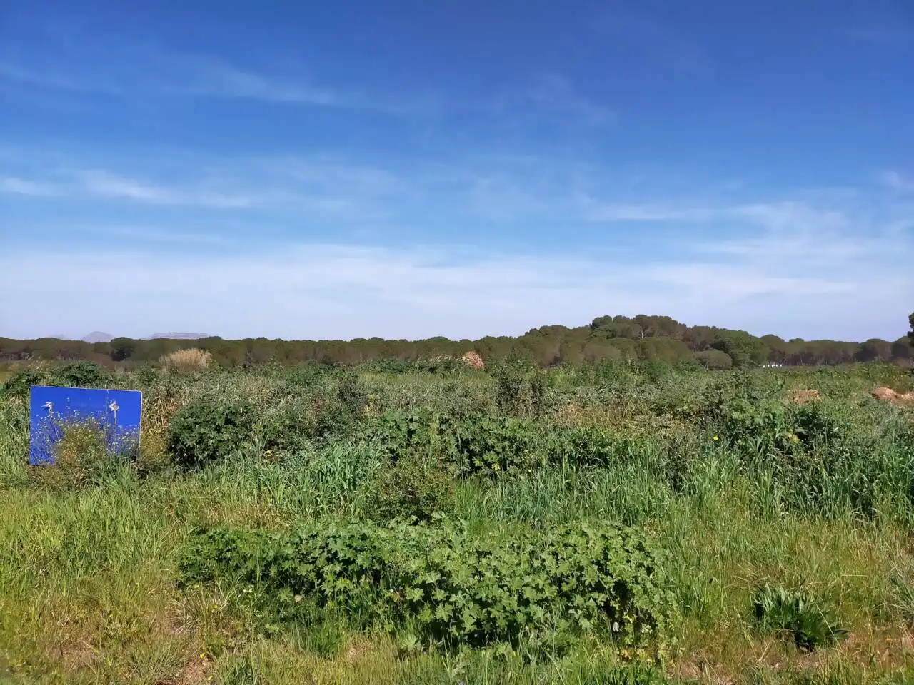 Rustikales Grundstück zum Verkauf in Br rodors, imagen 5