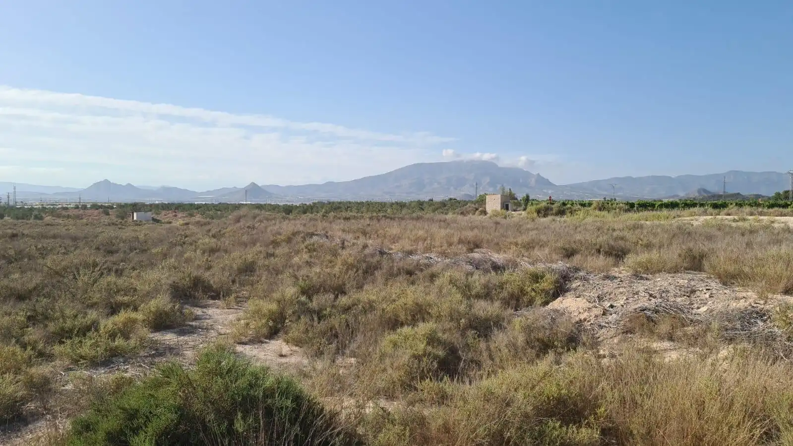 Terrenos y solares en venta en Monforte del Cid, imagen 7