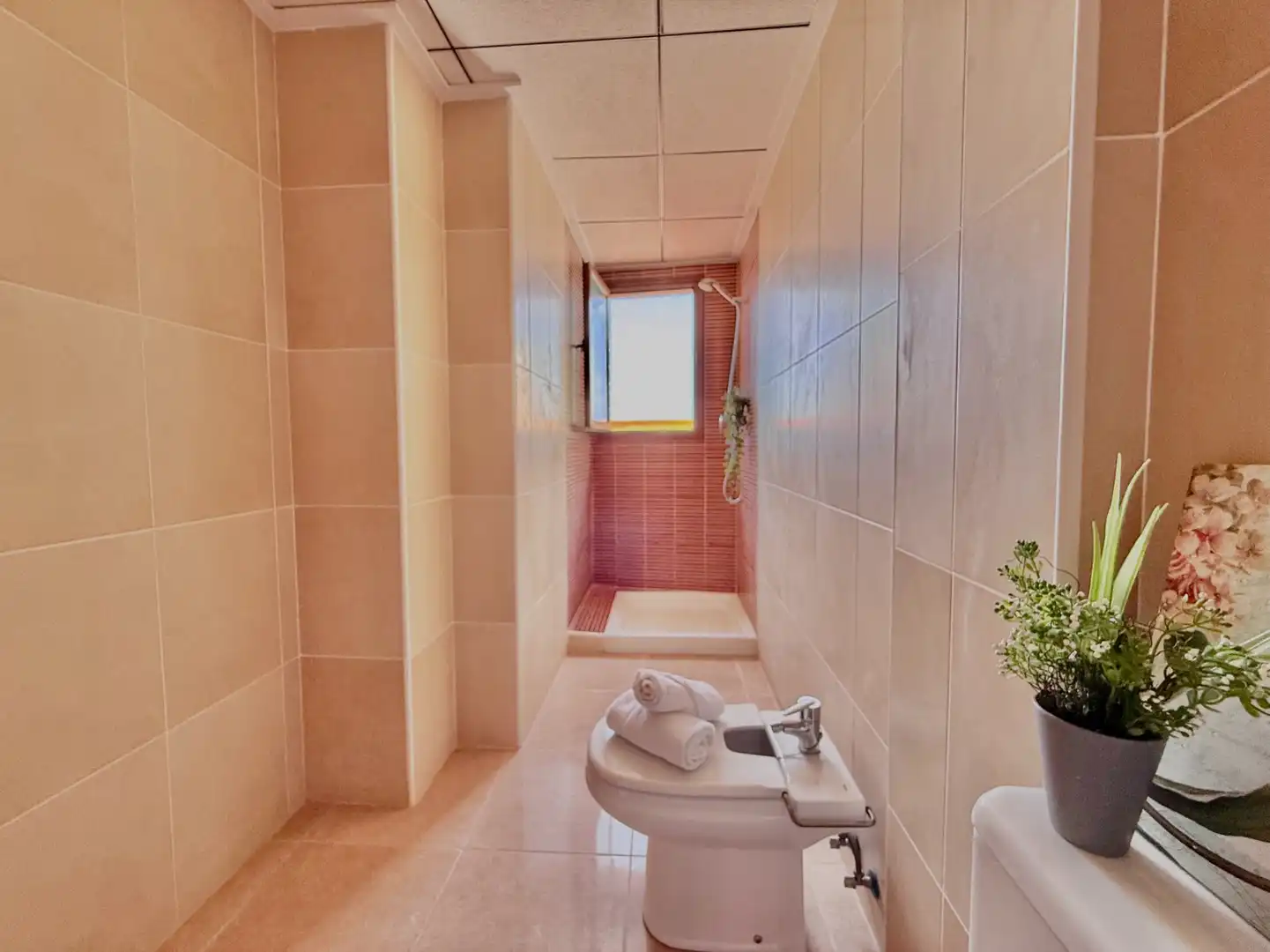 Attico con terrazza in vendita a San Pedro del Pinatar, imagen 40