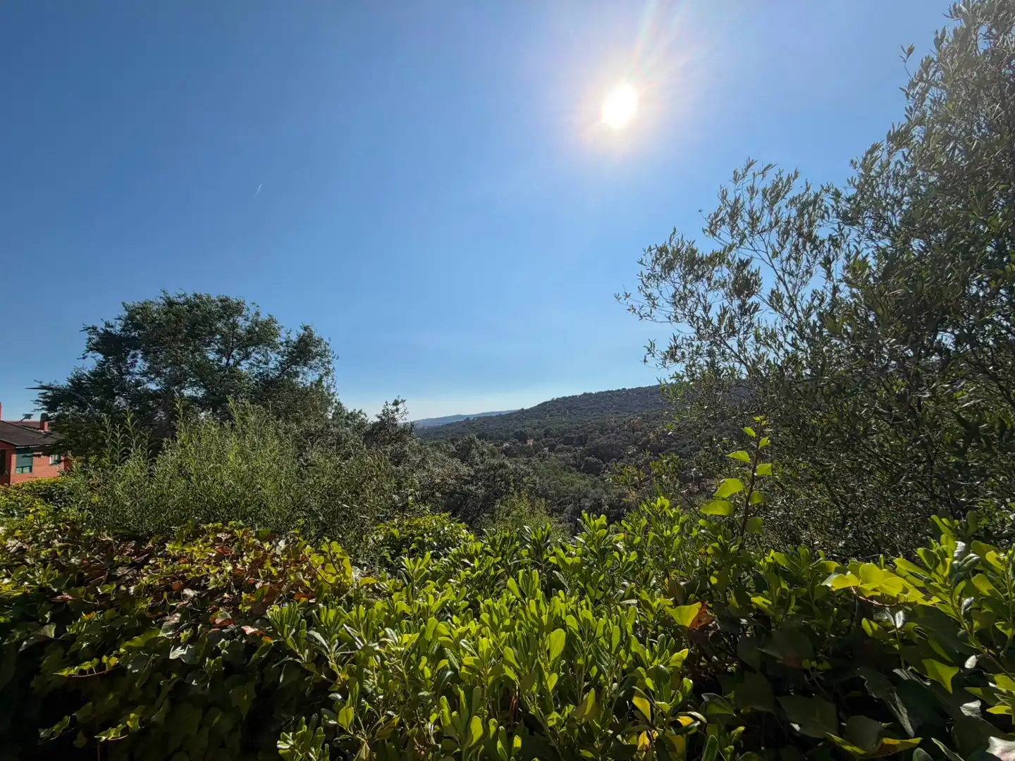 Jardí de Casa o xalet de lloguer en Las Rozas de Madrid amb Aire condicionat, Calefacció i Jardí privat
