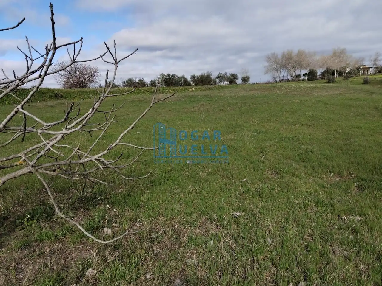 Finca rústica en venda en Bollullos Par del Condado amb Terrassa