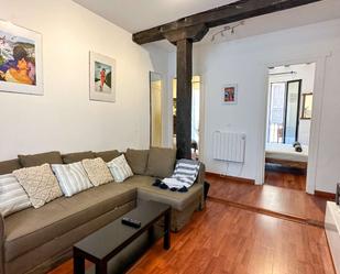 Living room of Apartment to share in Donostia - San Sebastián   with Air Conditioner and Terrace