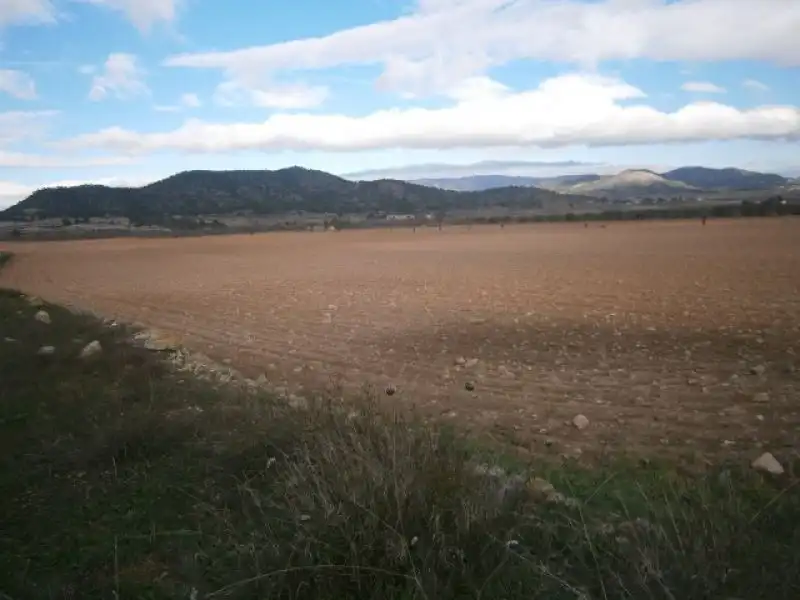 Casa rustica con giardino in vendita a Monóvar  / Monòver, imagen 2