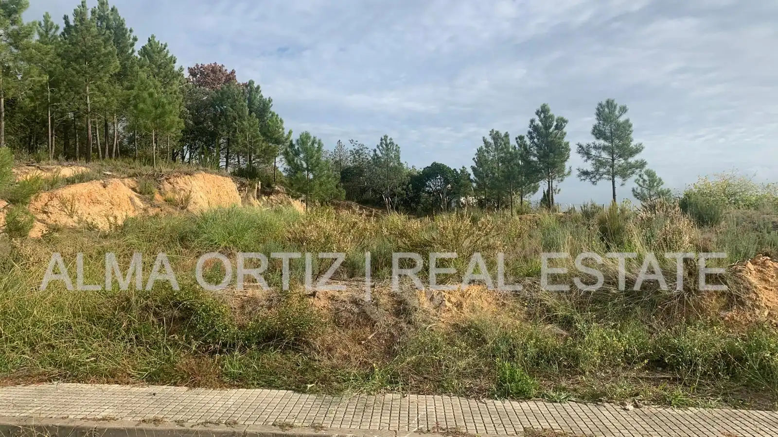 Terreny residencial en venda a Calle Sauce 25