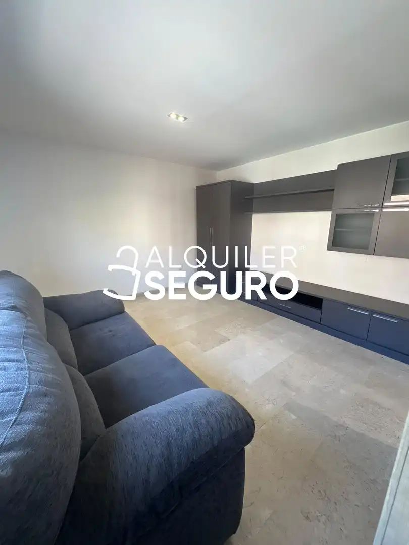 Sala de estar de Loft de alquiler en Madrid con Amueblado