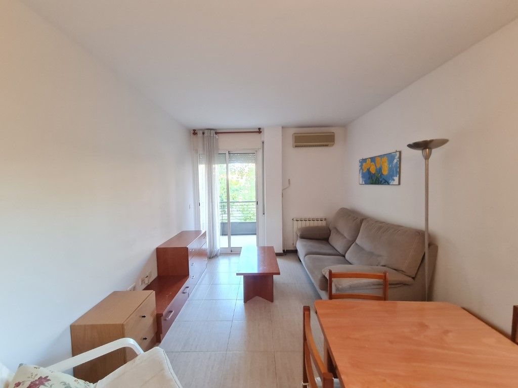 Sala d'estar de Pis de lloguer en Girona Capital