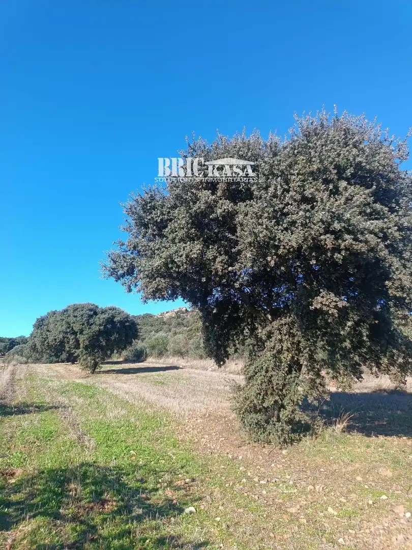 Terreni e lotti in vendita a Valdesalor - Rincón de Ballesteros, imagen 4
