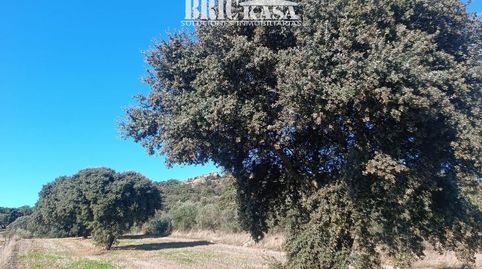 PARCELA EN SIERRA DE FUENTES, imagen 4