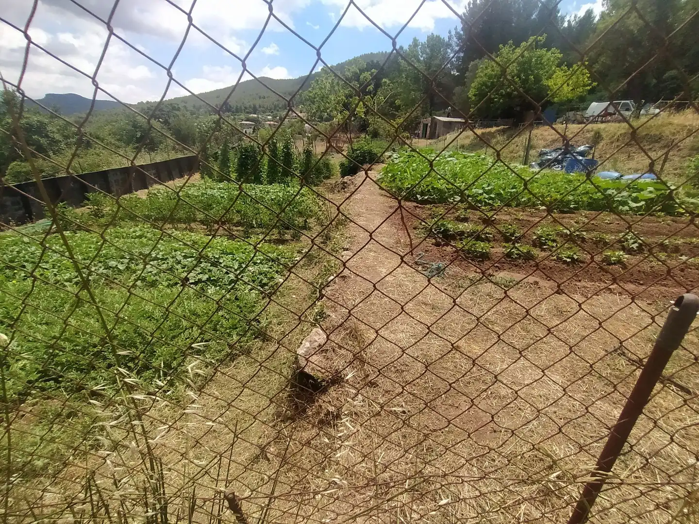 Wohnbaugrundstück zum Verkauf in Carretera Corbera a Gelida 83, imagen 2
