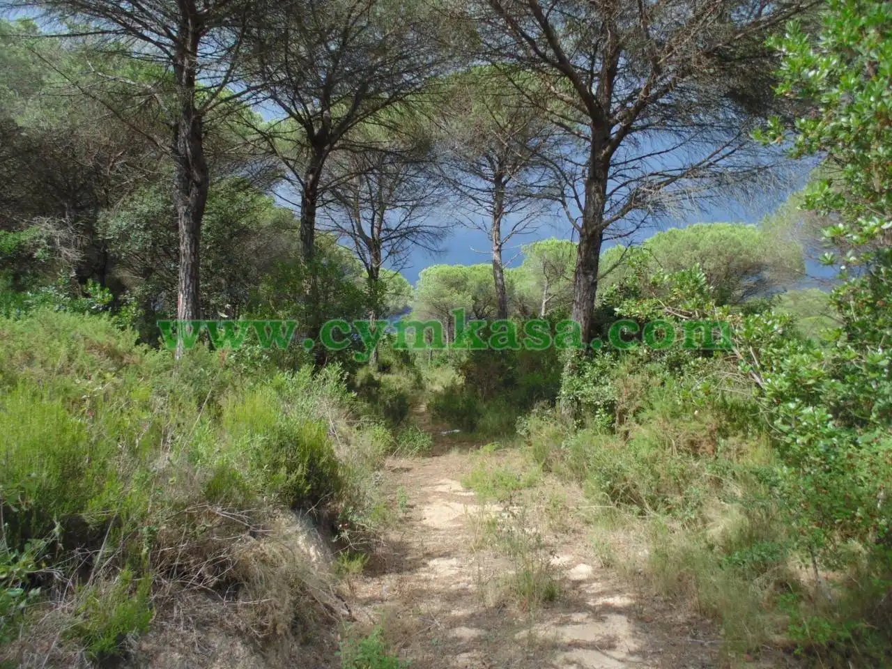 Rural land for sale in Montbarbat, imagen 6