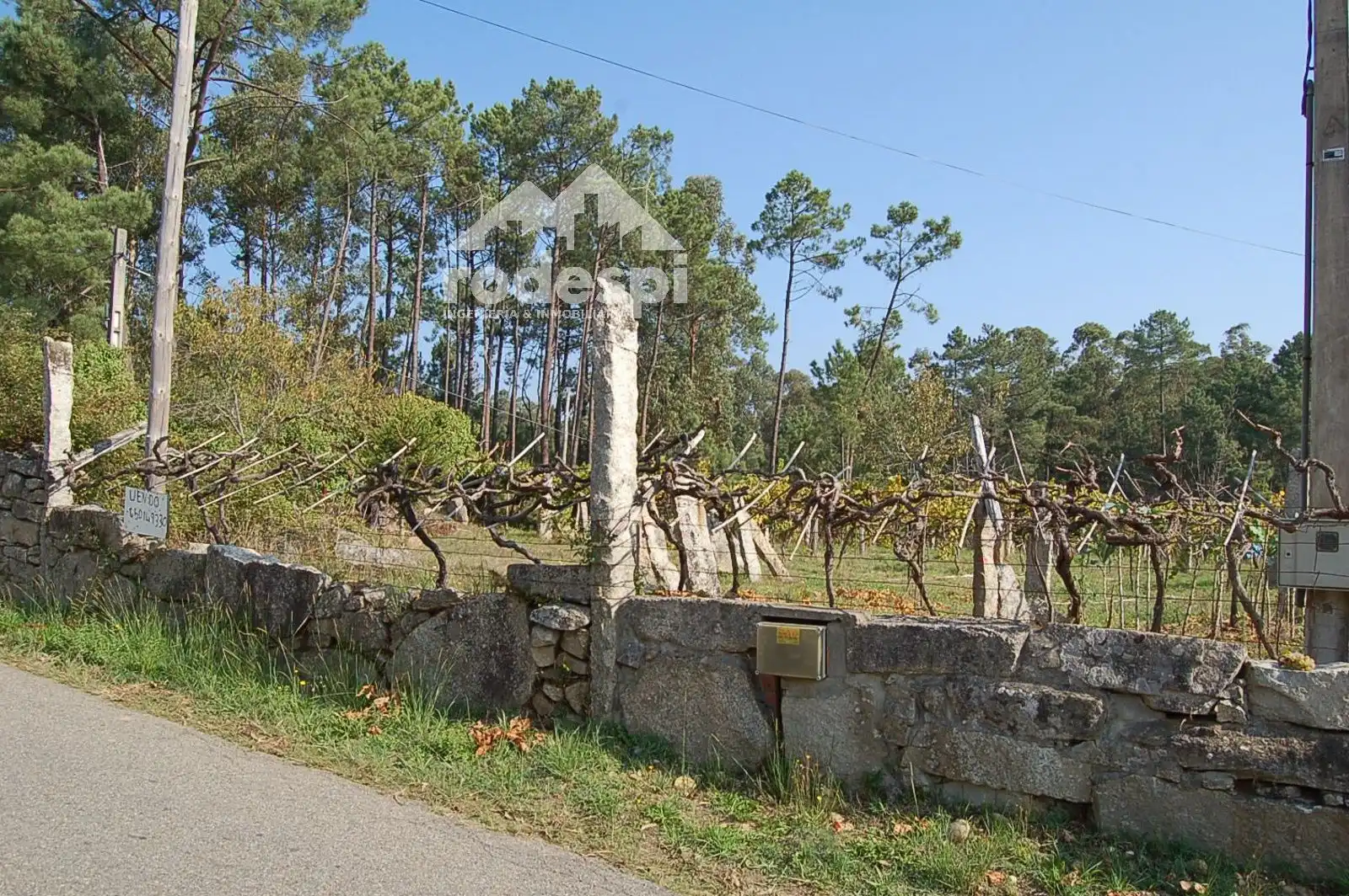 Rural land for sale in Salvaterra de Miño