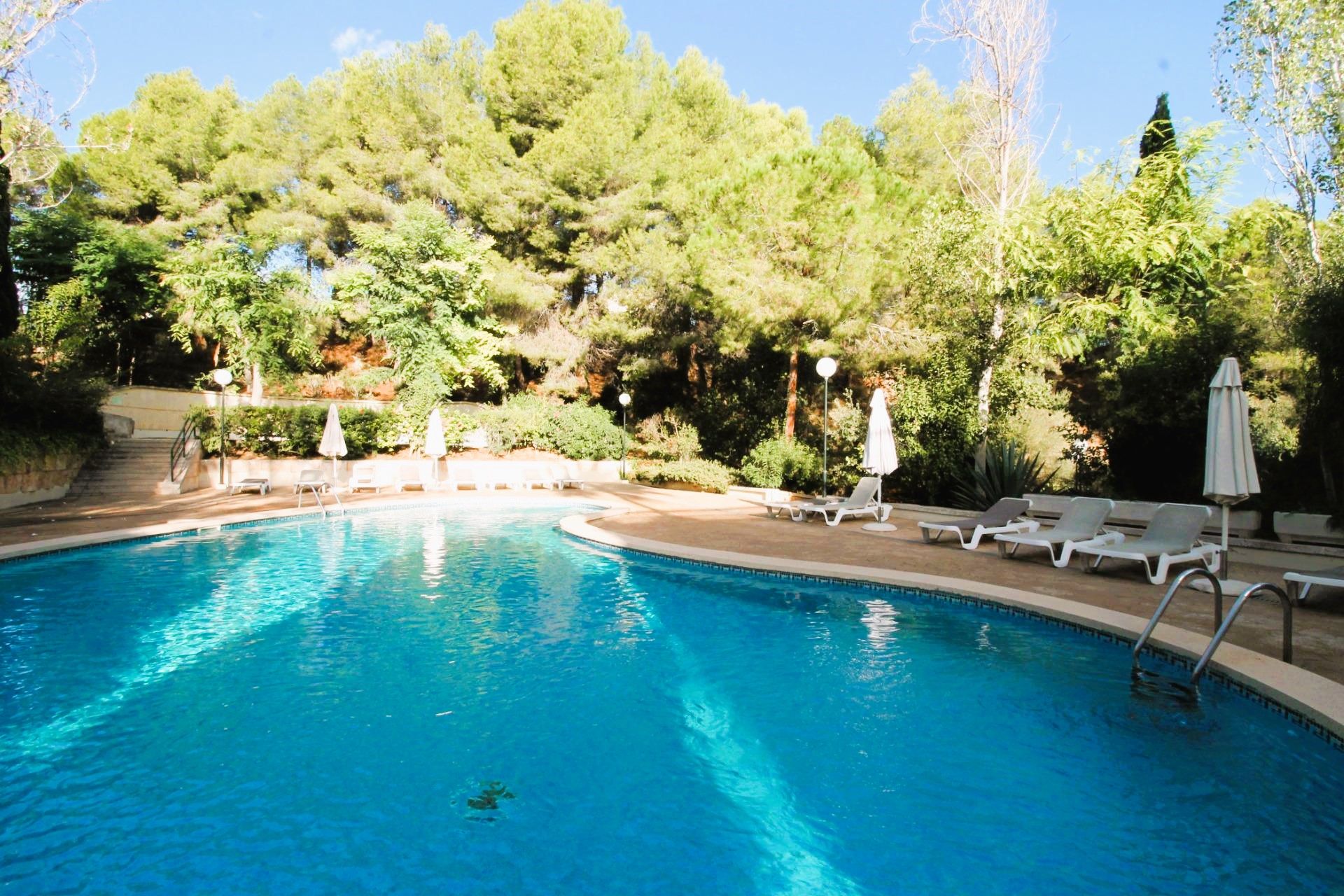 Piscina de Planta baixa en venda en  Palma de Mallorca amb Aire condicionat i Piscina comunitària