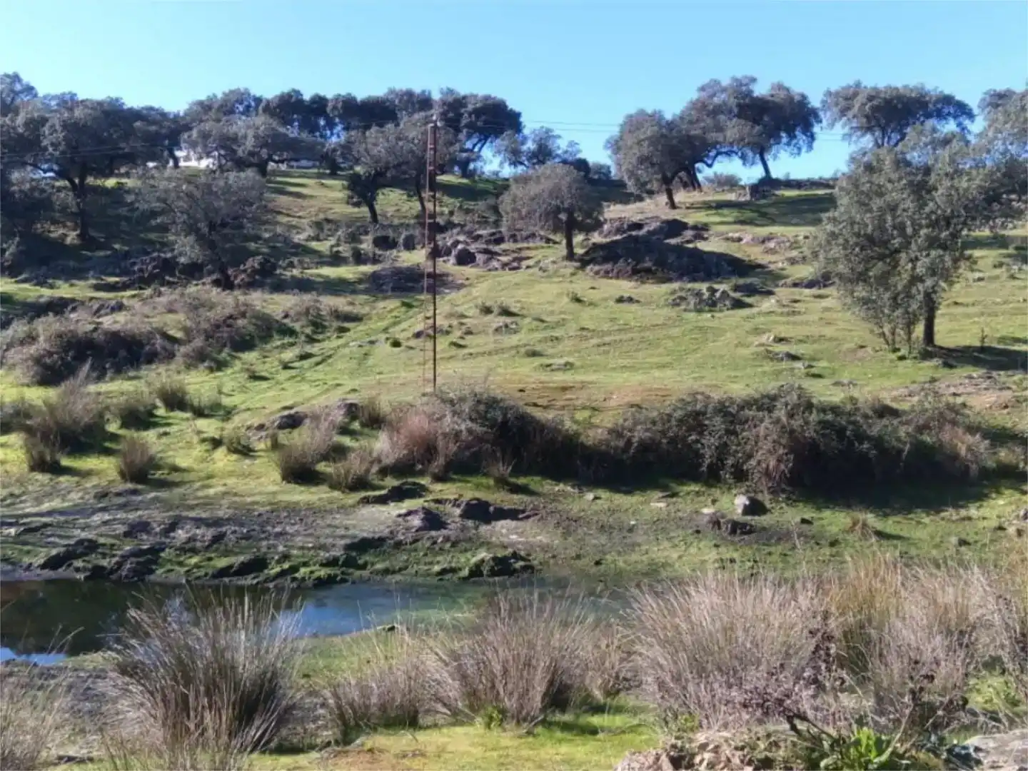 Piso en venta en Moraleja con Jardín privado, Trastero y Piscina