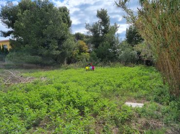 Terreno residenziale in vendita a El Grao