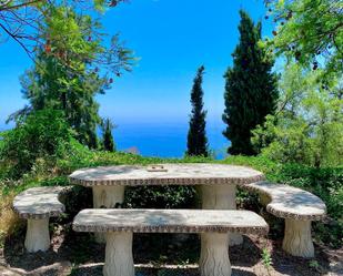 Jardí de Finca rústica en venda en Nerja amb Jardí privat, Terrassa i Traster