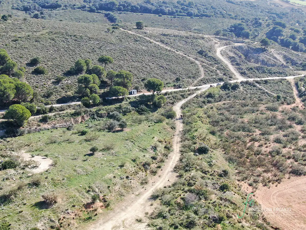 Terreno rustico in vendita a Arcos de la Frontera, imagen 12