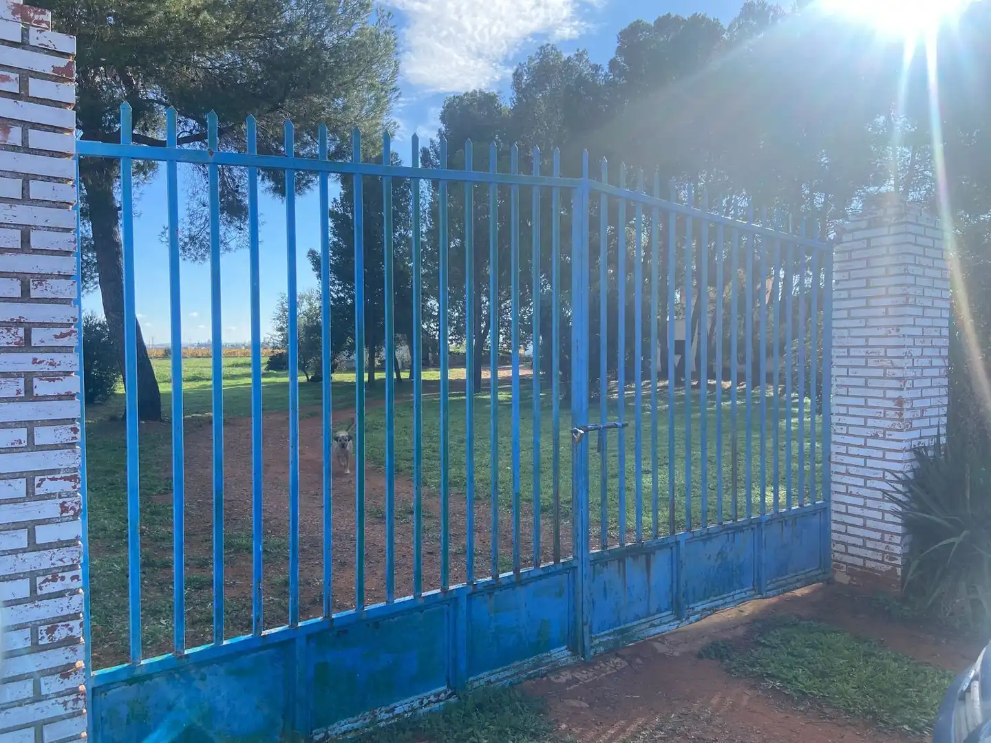 Vista exterior de Casa o chalet en venta en Almagro con Aire acondicionado, Calefacción y Jardín privado