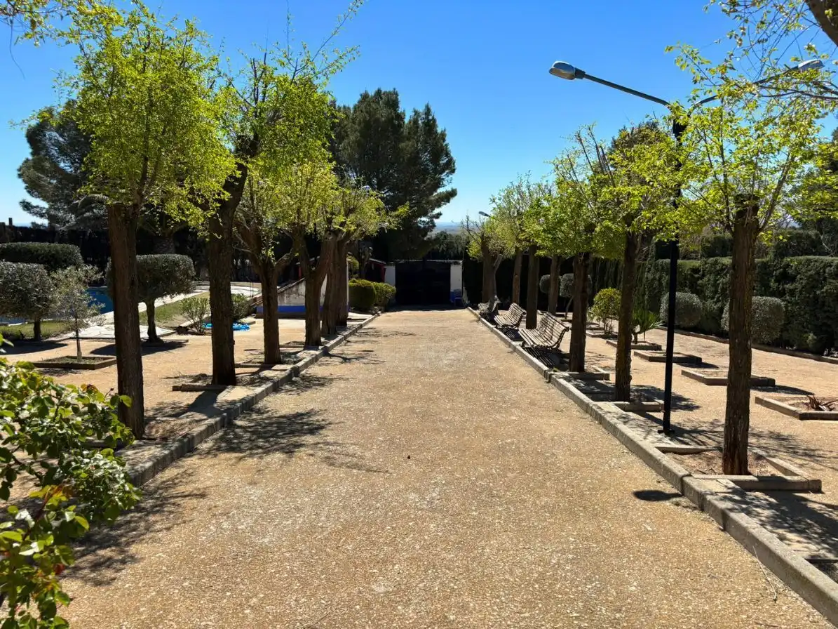 Vista exterior de Finca rústica en venta en Campo de Criptana con Jardín privado y Piscina