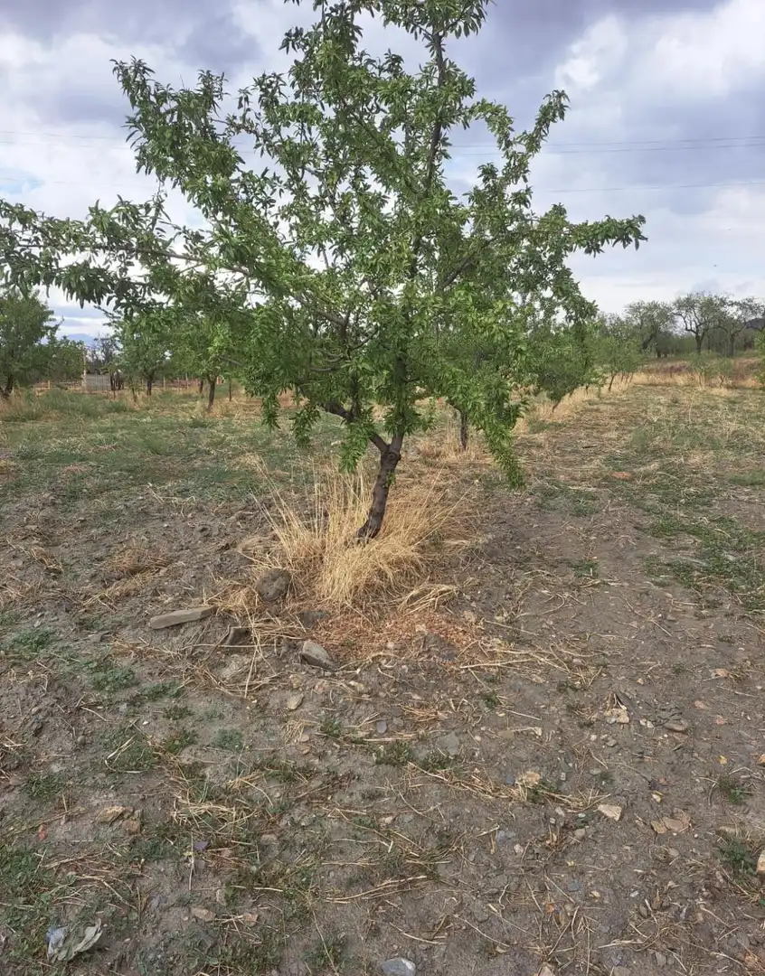 Lands and plots for sale in Lanteira, imagen 7