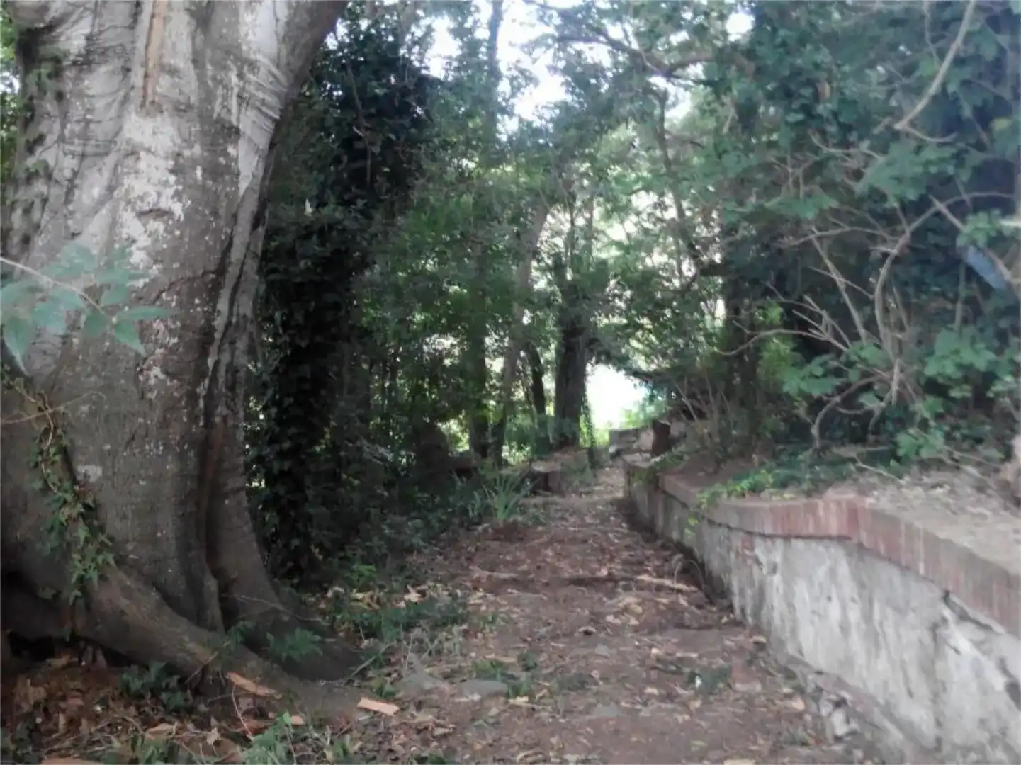 Finca rústica en venda en Santa Maria de Palautordera