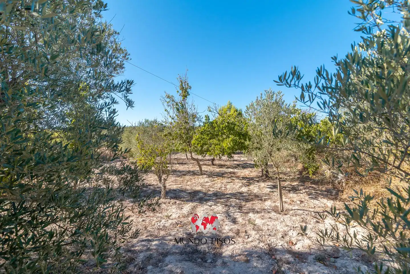 Finca rústica en venta en Montuïri con Jardín privado, Terraza y Piscina